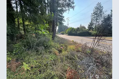 0 E Tall Timber Lane, Shelton, WA 98584 - Photo 12