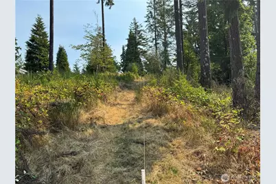 0 E Tall Timber Lane, Shelton, WA 98584 - Photo 2