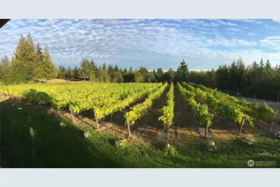 1673 Woodland Drive, Port Townsend, WA 98368 - Photo 38