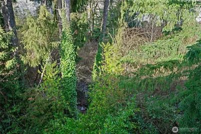 9904 NE 142nd Place #C302, Kirkland, WA 98034 - Photo 20