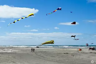 205 W Bolstad Ave, Long Beach, WA 98631 - Photo 4