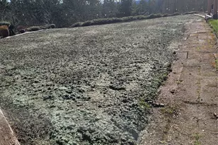 12009 239th Ave Ct E, Buckley, WA 98321 - Photo 40