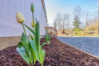 201 Albert Street, Wilkeson, WA 98396 - Photo 24