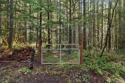 300 N Mount Jupiter Drive, Hoodsport, WA 98548 - Photo 26