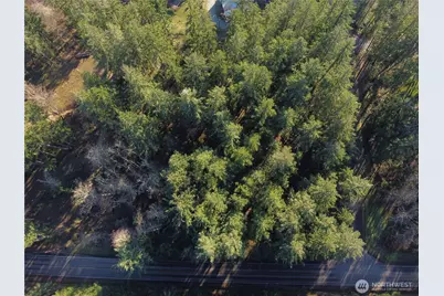 396 Durr Road, Camano Island, WA 98282 - Photo 8