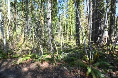 0 Old Cascade Hwy, Skykomish, WA 98288 - Photo 4