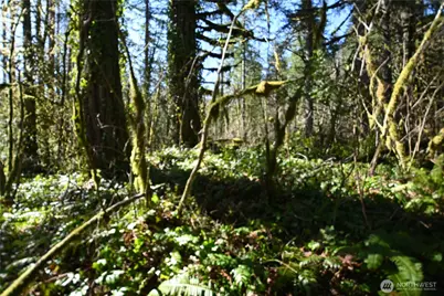 0 Old Cascade Hwy, Skykomish, WA 98288 - Photo 10