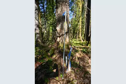 0 Old Cascade Hwy, Skykomish, WA 98288 - Photo 6