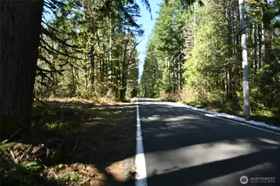 0 Old Cascade Hwy, Skykomish, WA 98288 - Photo 2