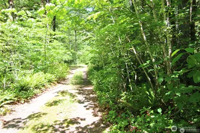 0 Old Cascade Hwy, Skykomish, WA 98288 - Photo 12