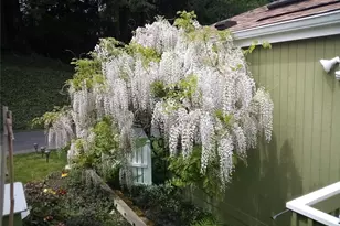 600 NE Lincoln Rd, Poulsbo, WA 98370 - Photo 26