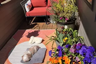 4895 76th St SW, Mukilteo, WA 98275 - Photo 12