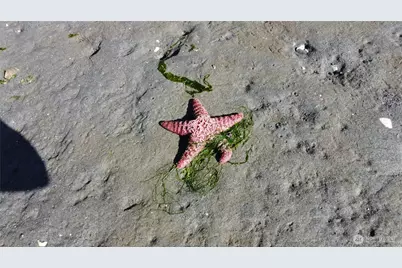 111 Seven Sisters Beach, Port Ludlow, WA 98358 - Photo 16