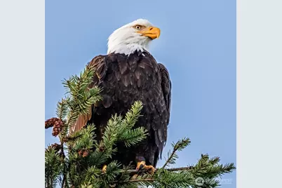 2861 SW 171st Street, Burien, WA 98166 - Photo 36