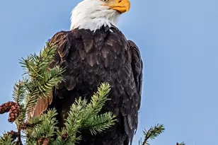 2861 SW 171st St, Burien, WA 98166 - Photo 36