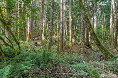 1 Skate Creek Road N, Morton, WA 98356 - Photo 36