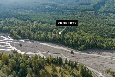 1 Skate Creek Road N, Morton, WA 98356 - Photo 6