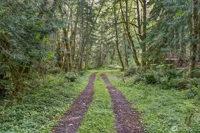1 Skate Creek Road N, Morton, WA 98356 - Photo 24