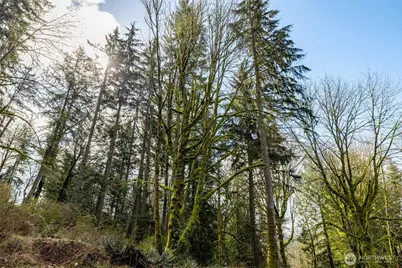 29631 124th Avenue NE, Arlington, WA 98223 - Photo 8