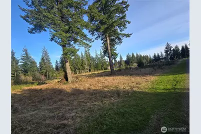 9999 Sawyer Way, Forks, WA 98331 - Photo 8