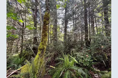 1 Xxx Juanita Drive, Brinnon, WA 98320 - Photo 16