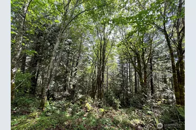 1 Xxx Juanita Drive, Brinnon, WA 98320 - Photo 8