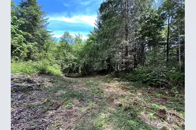 1 Xxx Juanita Drive, Brinnon, WA 98320 - Photo 14