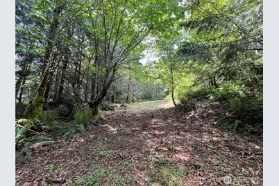 1 Xxx Juanita Drive, Brinnon, WA 98320 - Photo 10