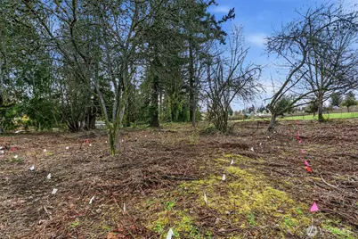 1414 E 44th Street, Tacoma, WA 98404 - Photo 10
