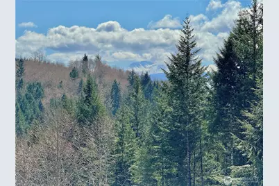 418 August Road, Onalaska, WA 98570 - Photo 26