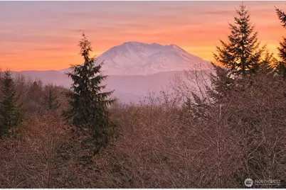 418 August Road, Onalaska, WA 98570 - Photo 20