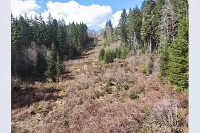 418 August Road, Onalaska, WA 98570 - Photo 14