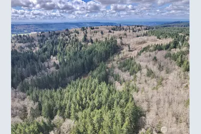 418 August Road, Onalaska, WA 98570 - Photo 22