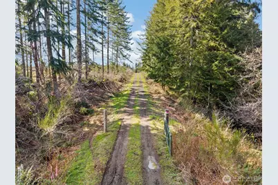 75 Bear Meadows Lane, Aberdeen, WA 98520 - Photo 16