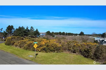 1 Francis Seamore Lane, Grayland, WA 98547 - Photo 4