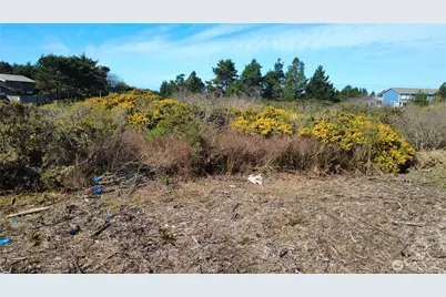 1 Francis Seamore Lane, Grayland, WA 98547 - Photo 10