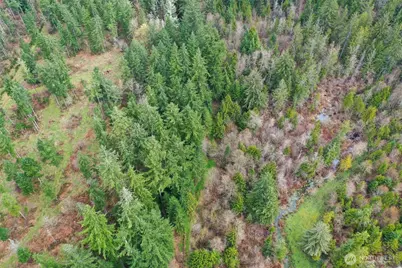 7128 115th Avenue SW, Olympia, WA 98512 - Photo 10