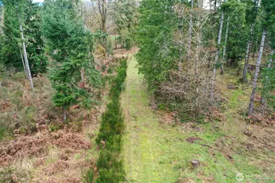 7128 115th Avenue SW, Olympia, WA 98512 - Photo 24