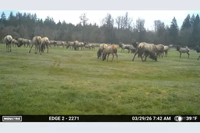 7128 115th Avenue SW, Olympia, WA 98512 - Photo 38