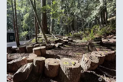 14 Granite Circle, Bellingham, WA 98229 - Photo 4