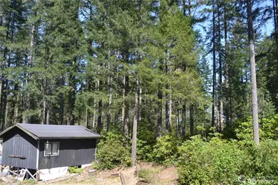 0 Lot #55 NE Collins (80 Collins Dr.) Drive, Tahuya, WA 98588 - Photo 1