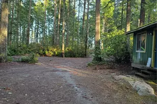 0 Lot #55 NE Collins (80 Collins Dr ) Dr, Tahuya, WA 98588 - Photo 2
