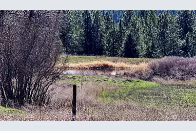 2068 Addy-Gifford Road, Addy, WA 99101 - Photo 10