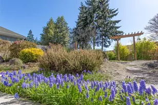 306 Taylor Blvd, Sequim, WA 98382 - Photo 8
