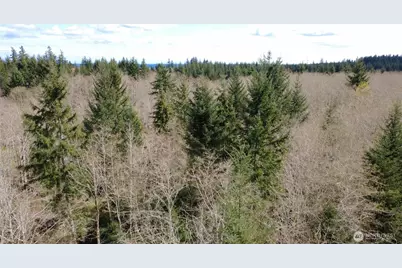 1 Xxxx Blacktail Court, Quilcene, WA 98376 - Photo 6