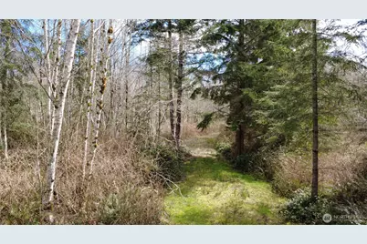 1 Xxxx Blacktail Court, Quilcene, WA 98376 - Photo 12