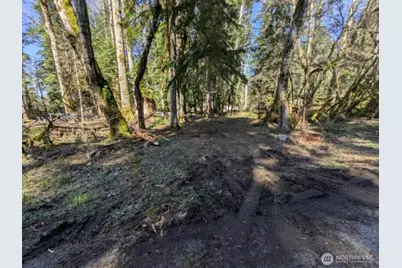 55912 317th Avenue E, Ashford, WA 98304 - Photo 12