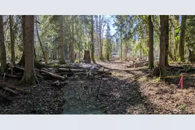 55912 317th Avenue E, Ashford, WA 98304 - Photo 2