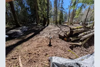 55912 317th Avenue E, Ashford, WA 98304 - Photo 6