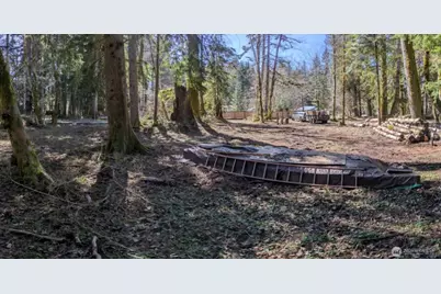 55912 317th Avenue E, Ashford, WA 98304 - Photo 1